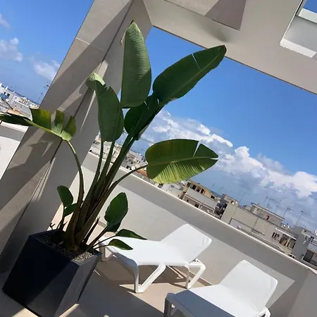 Morus Urban Apartment Polignano a Mare